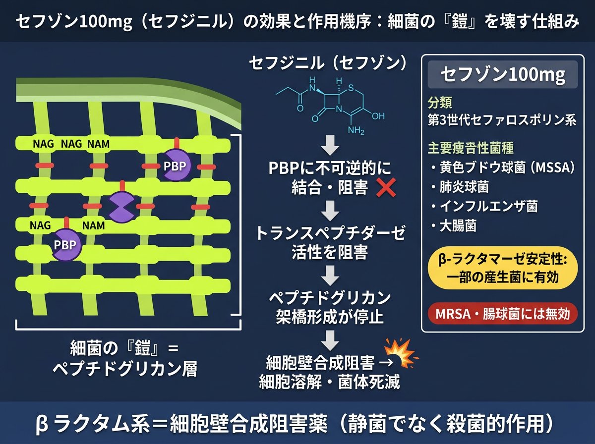 セフゾン100mgの効果と作用機序：細菌の「鎧」を壊す仕組み