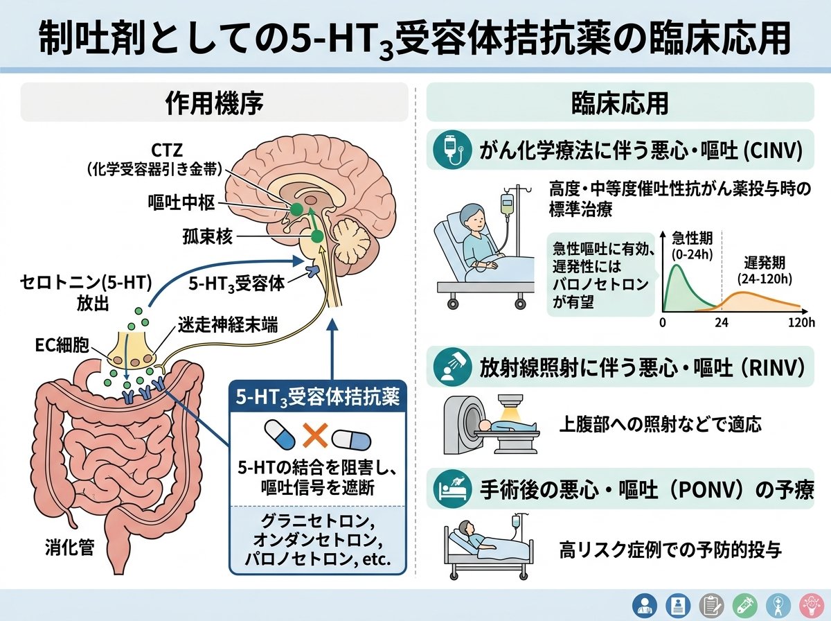 制吐剤の5-HT3受容体拮抗薬の臨床応用