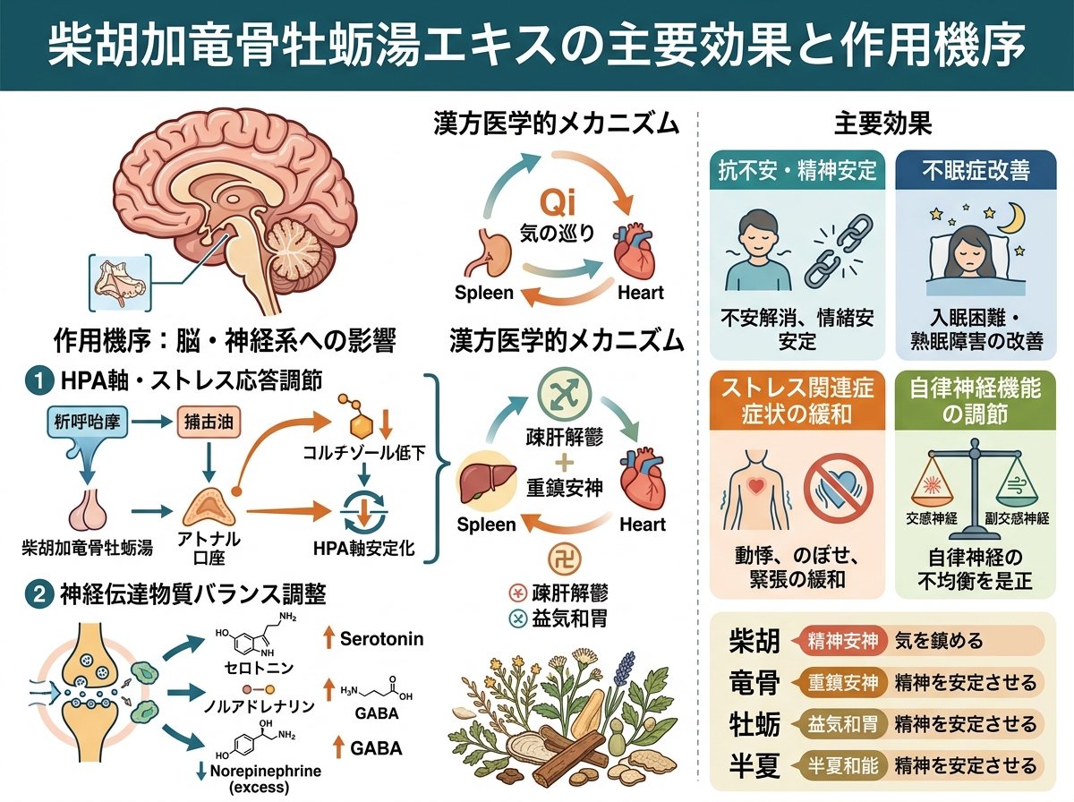 柴胡加竜骨牡蛎湯エキスの主要効果と作用機序