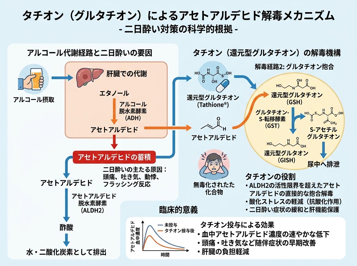 タチオン二日酔いアセトアルデヒド解毒メカニズム
