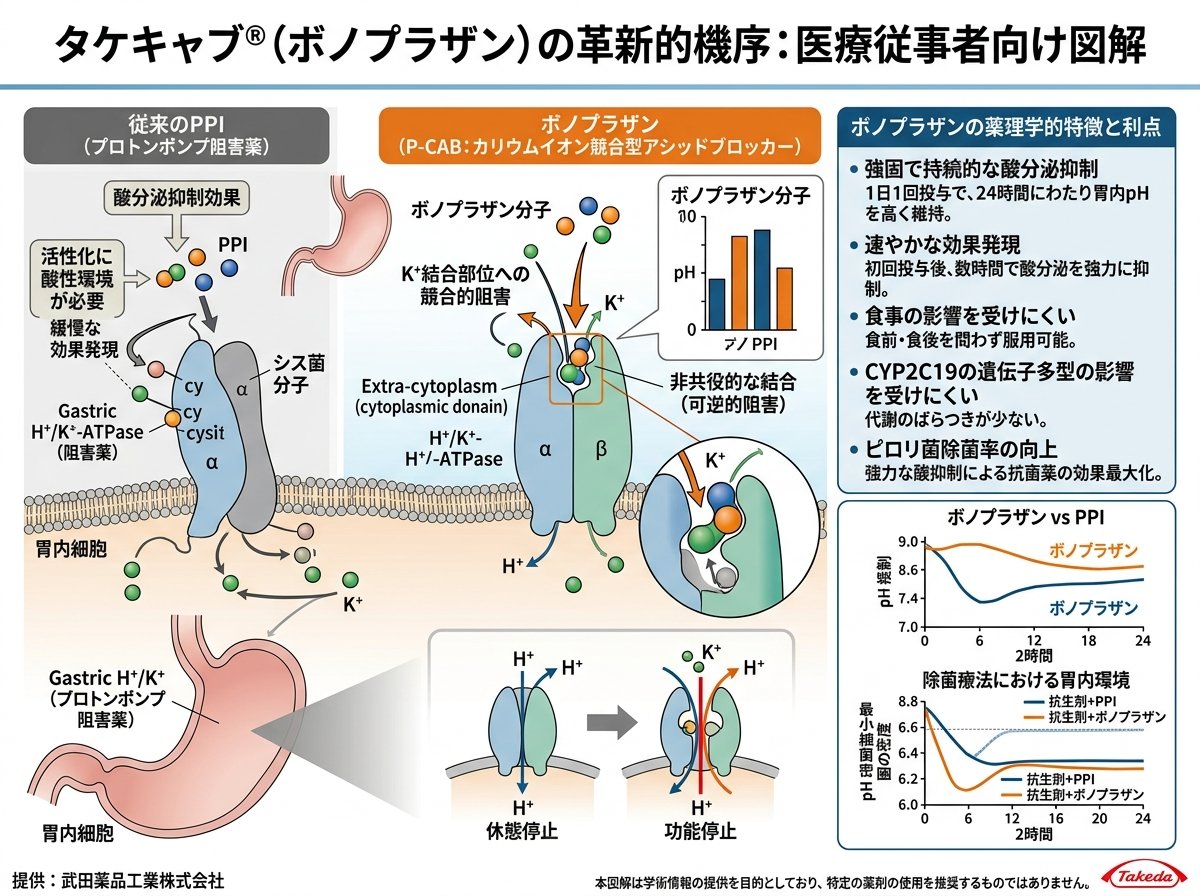 タケキャブ成分ボノプラザン革新的機序