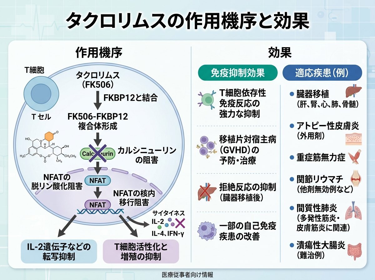 タクロリムスの作用機序と効果