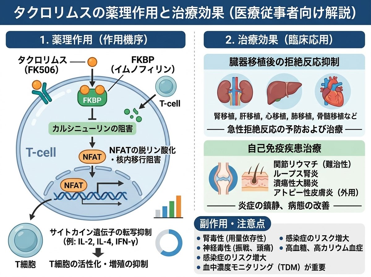 タクロリムスの薬理作用と治療効果