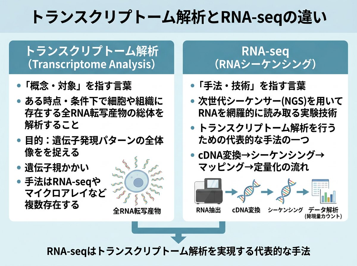 トランスクリプトーム解析とRNA-seqの基本的な定義の違い