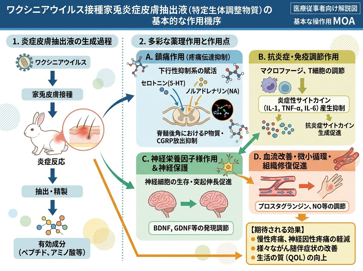 ワクシニアウイルス接種家兎炎症皮膚抽出液の基本的な作用機序