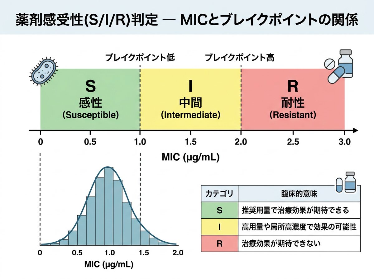 薬剤感受性SRとはMICとブレイクポイントで決まる判定カテゴリ